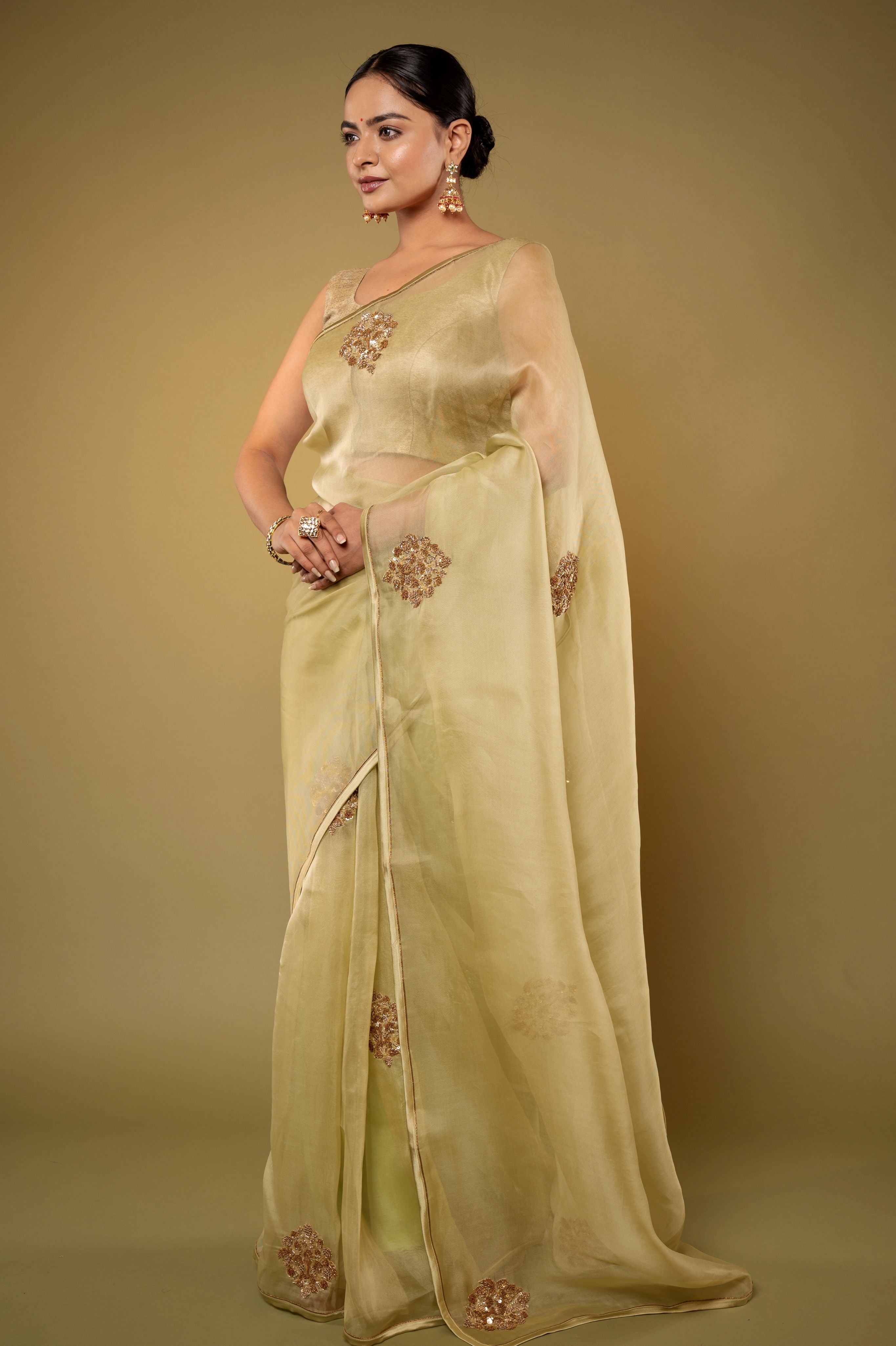 Pista Green Organza Zardozi Motif handwork saree