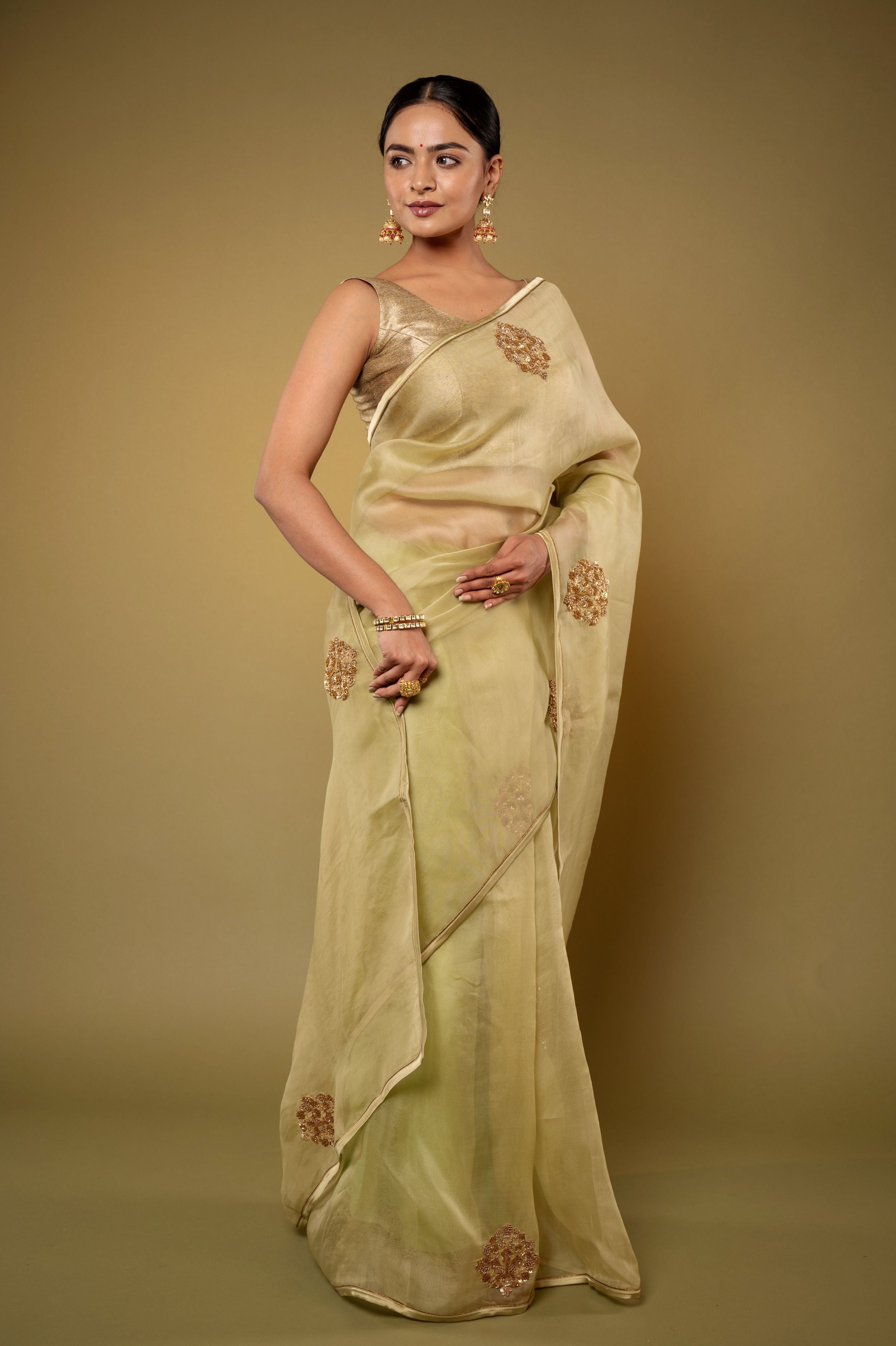 Pista Green Organza Zardozi Motif handwork saree