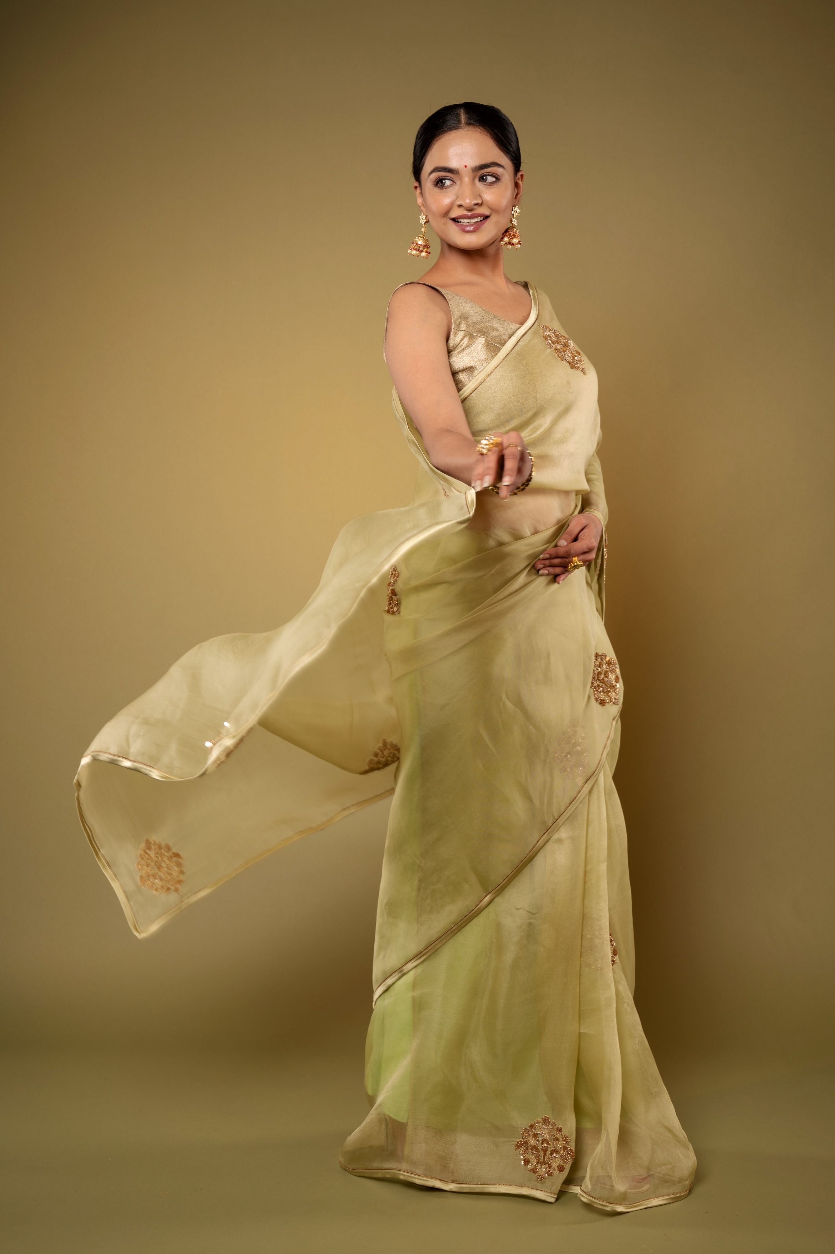 Pista Green Organza Zardozi Motif handwork saree