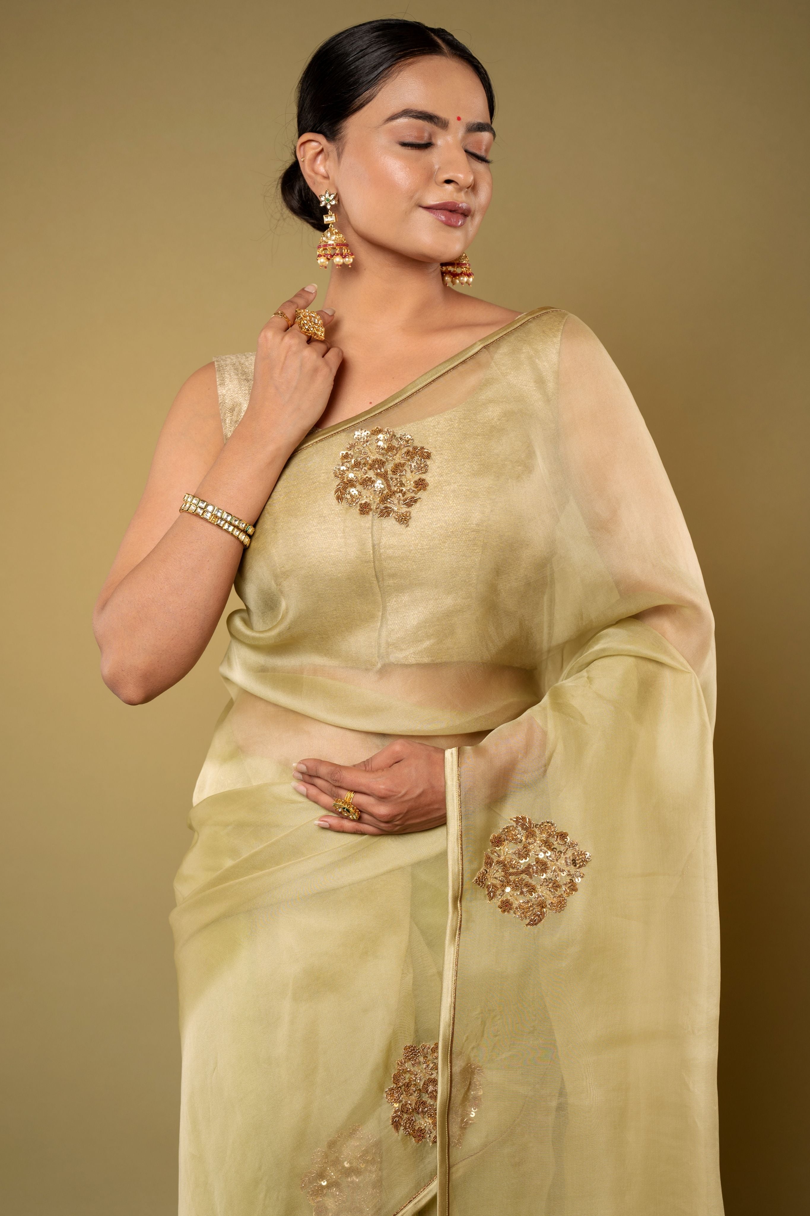 Pista Green Organza Zardozi Motif handwork saree