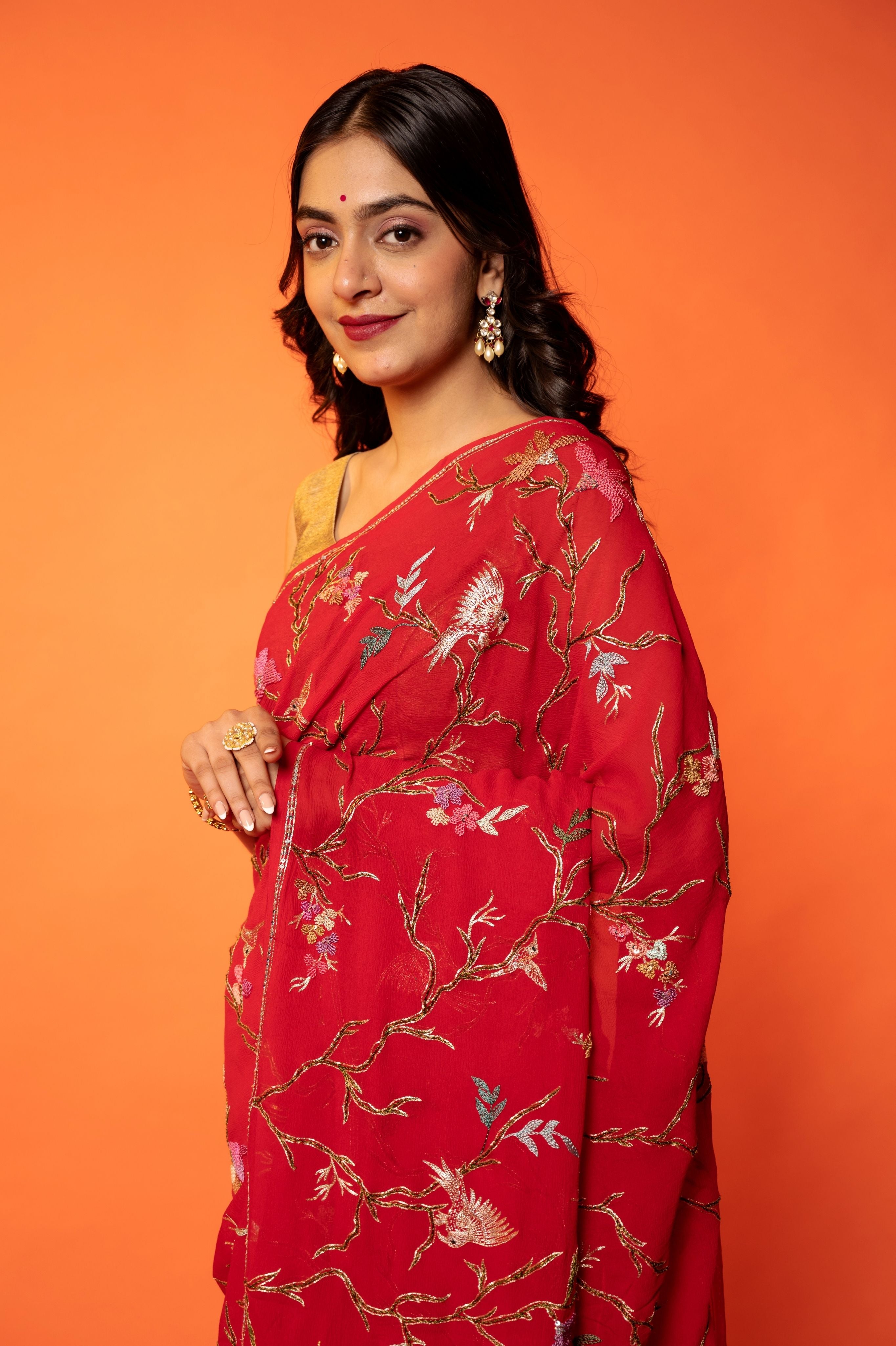 Red Pure Chiffon aari resham jaal handwork saree