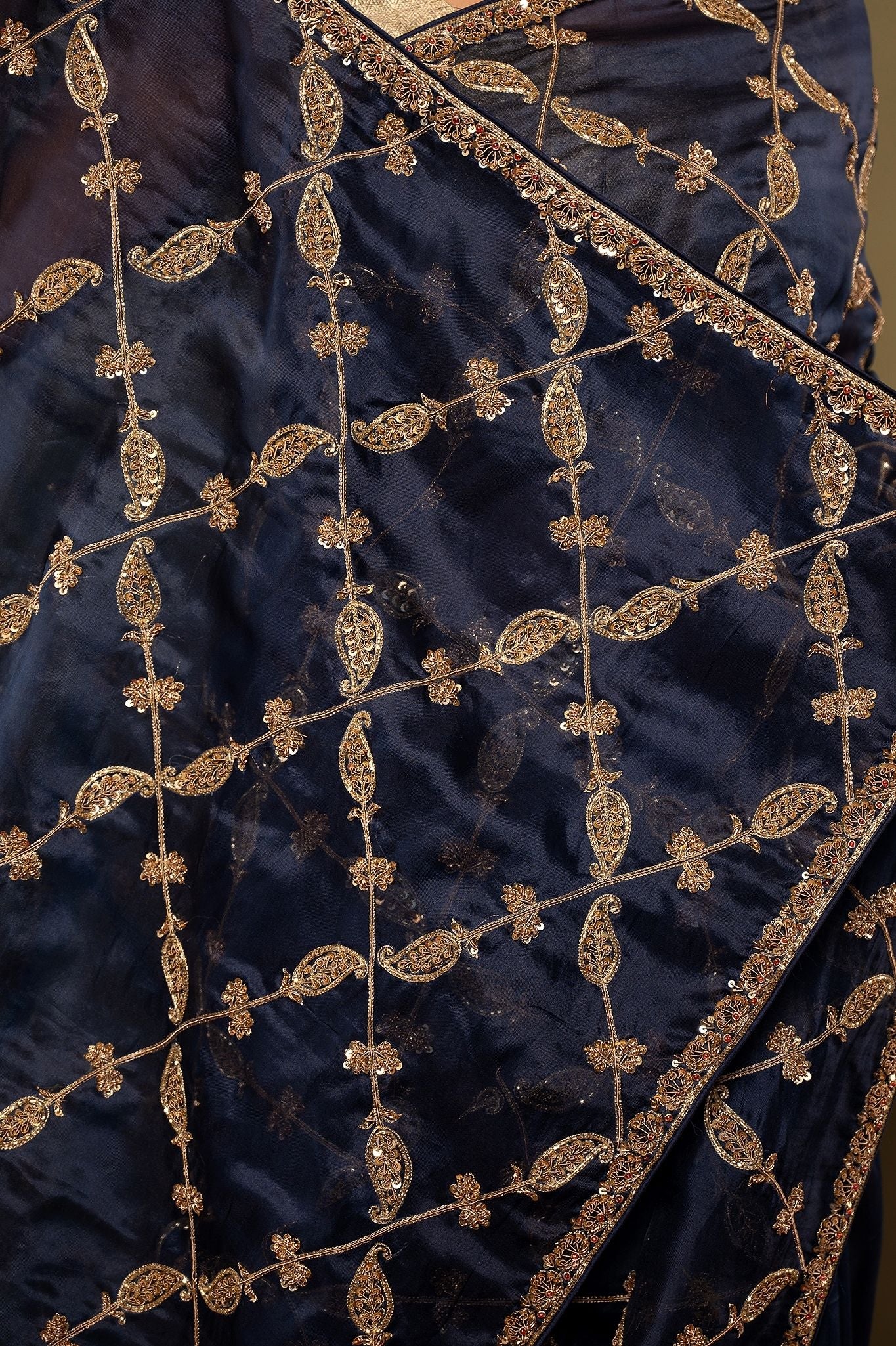 Blue pure organza Dori Dapka sequins jaal handwork saree