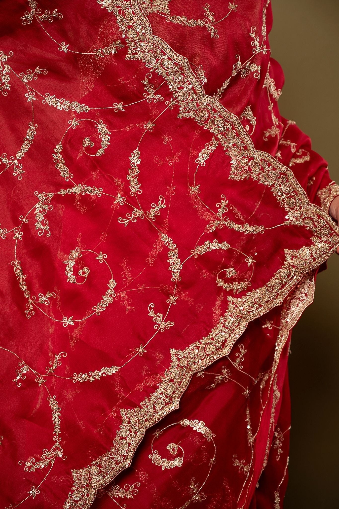 red pure organza Dapka Zardozi border butti jaal handwork saree