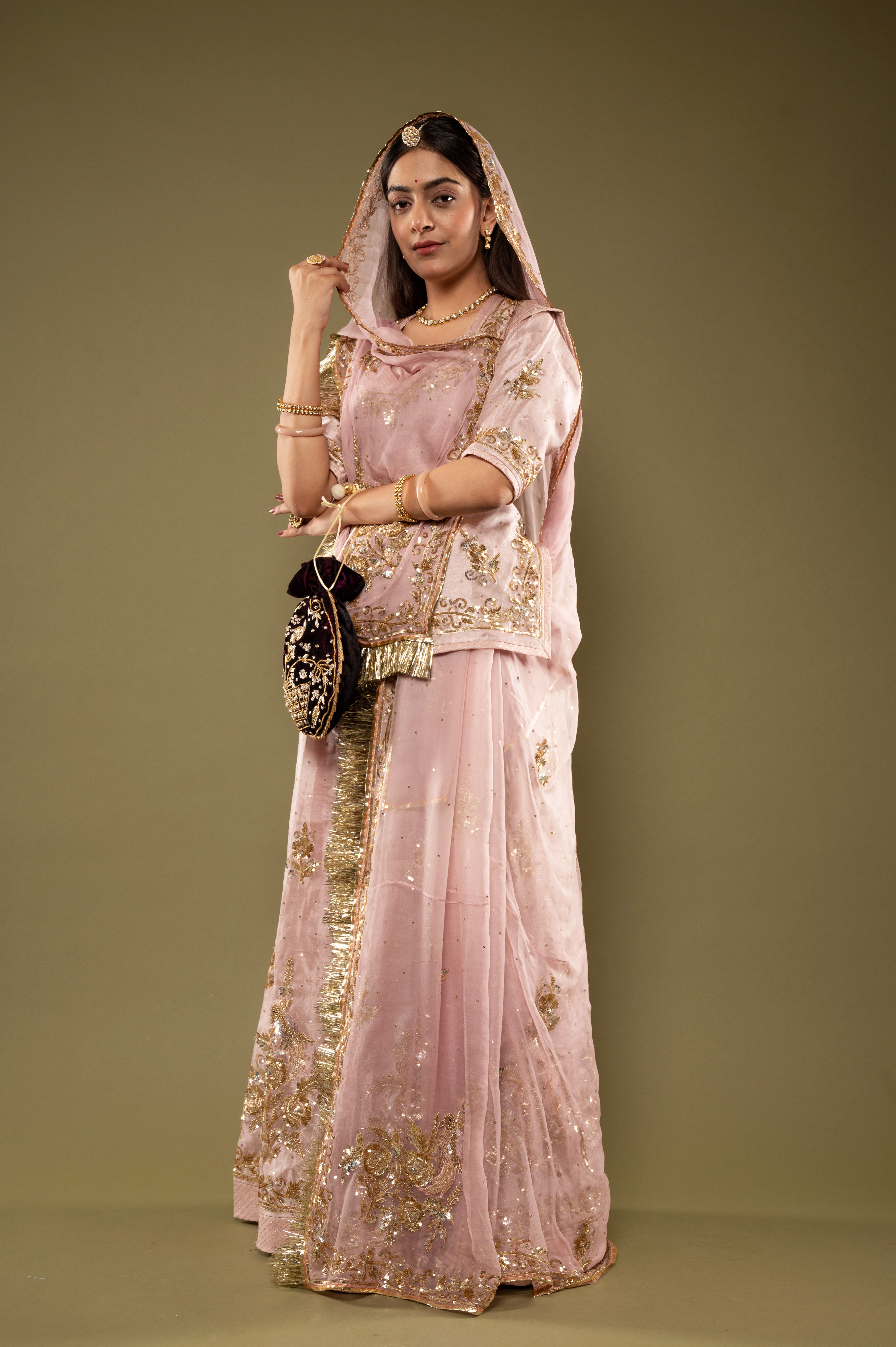 Light Pink Pure Tissue Sequins Kardana Zardozi Border Butti handwork Rajputi Poshak with Pure odhna