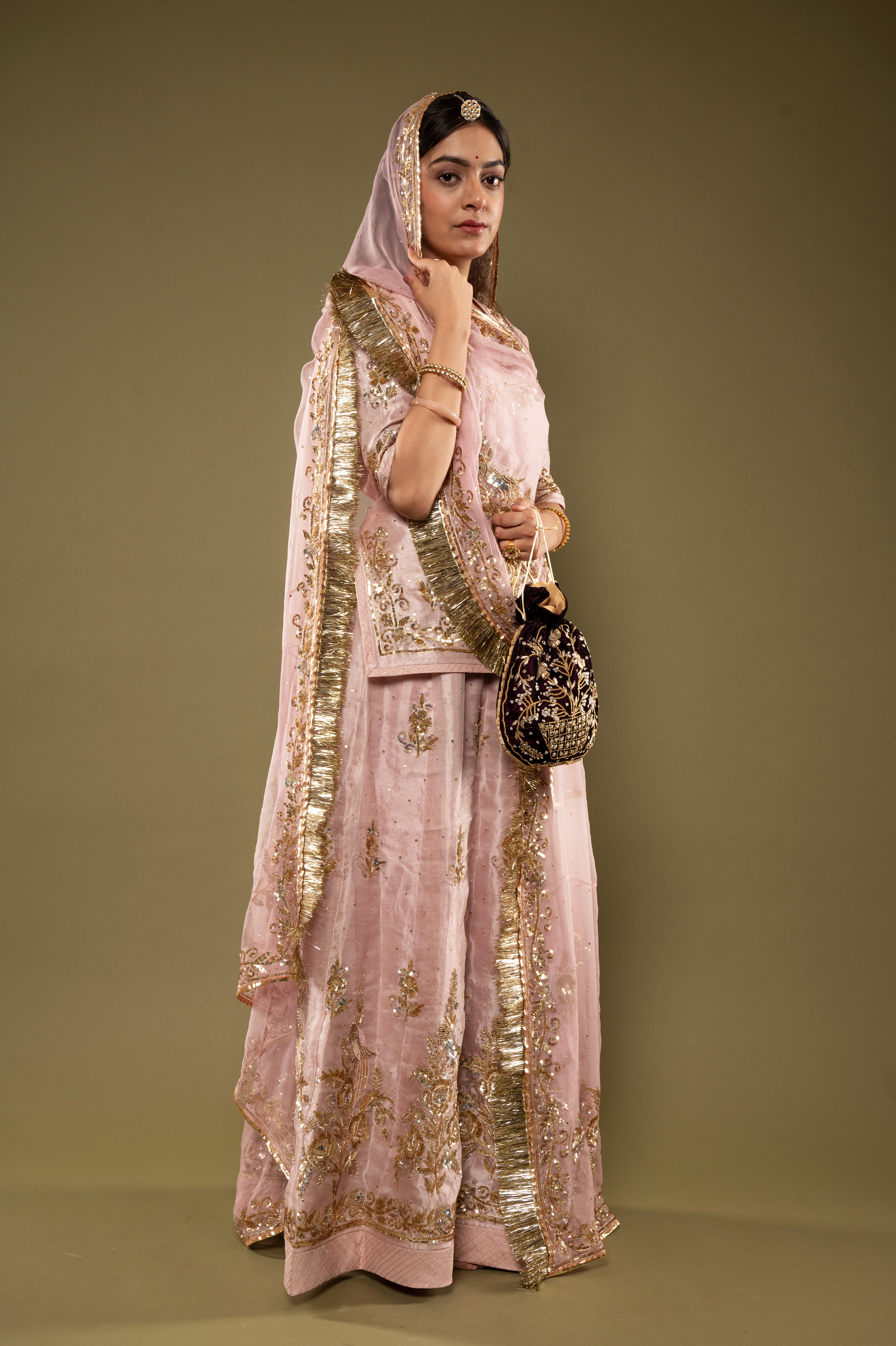 Light Pink Pure Tissue Sequins Kardana Zardozi Border Butti handwork Rajputi Poshak with Pure odhna