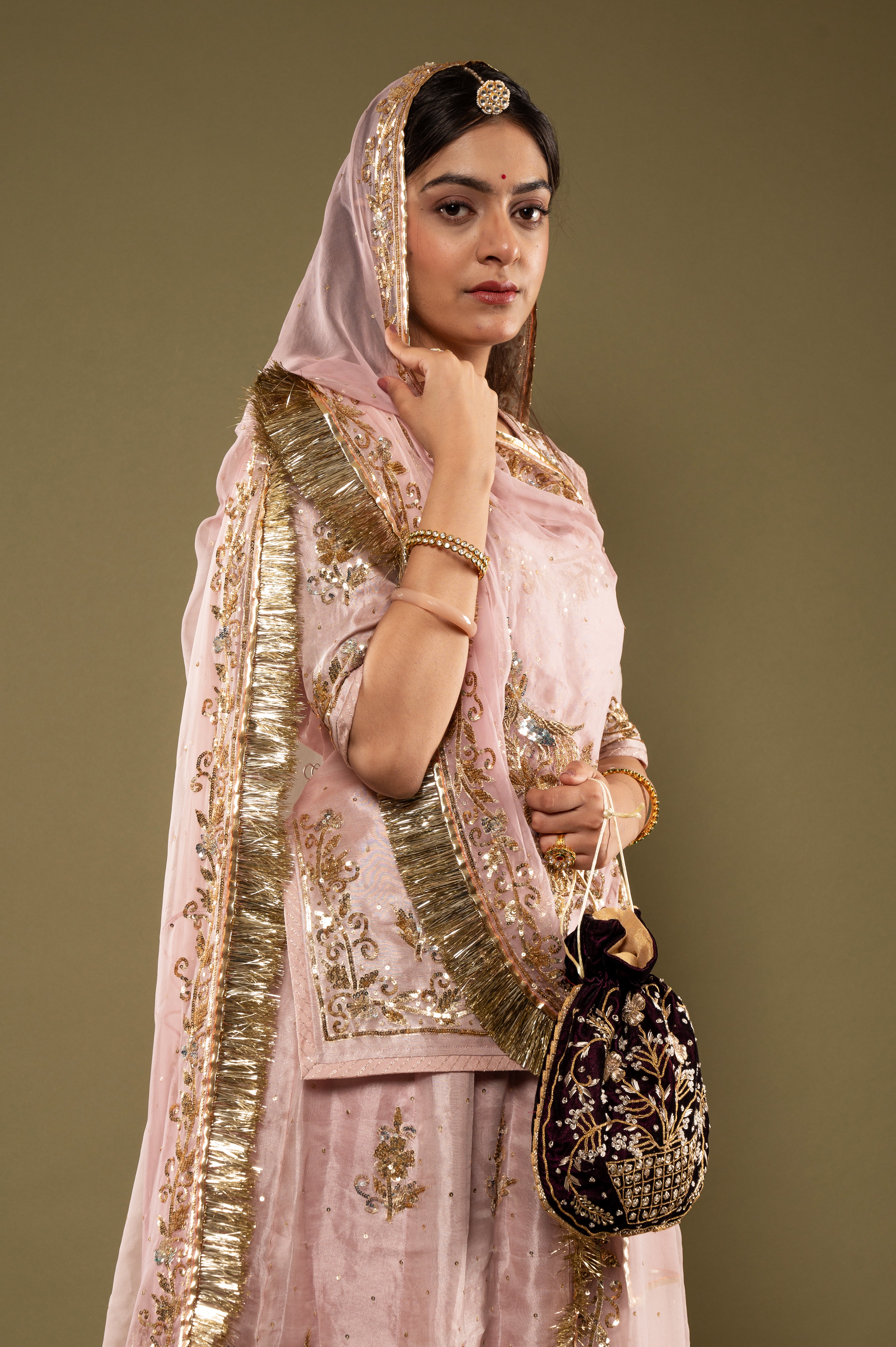 Light Pink Pure Tissue Sequins Kardana Zardozi Border Butti handwork Rajputi Poshak with Pure odhna