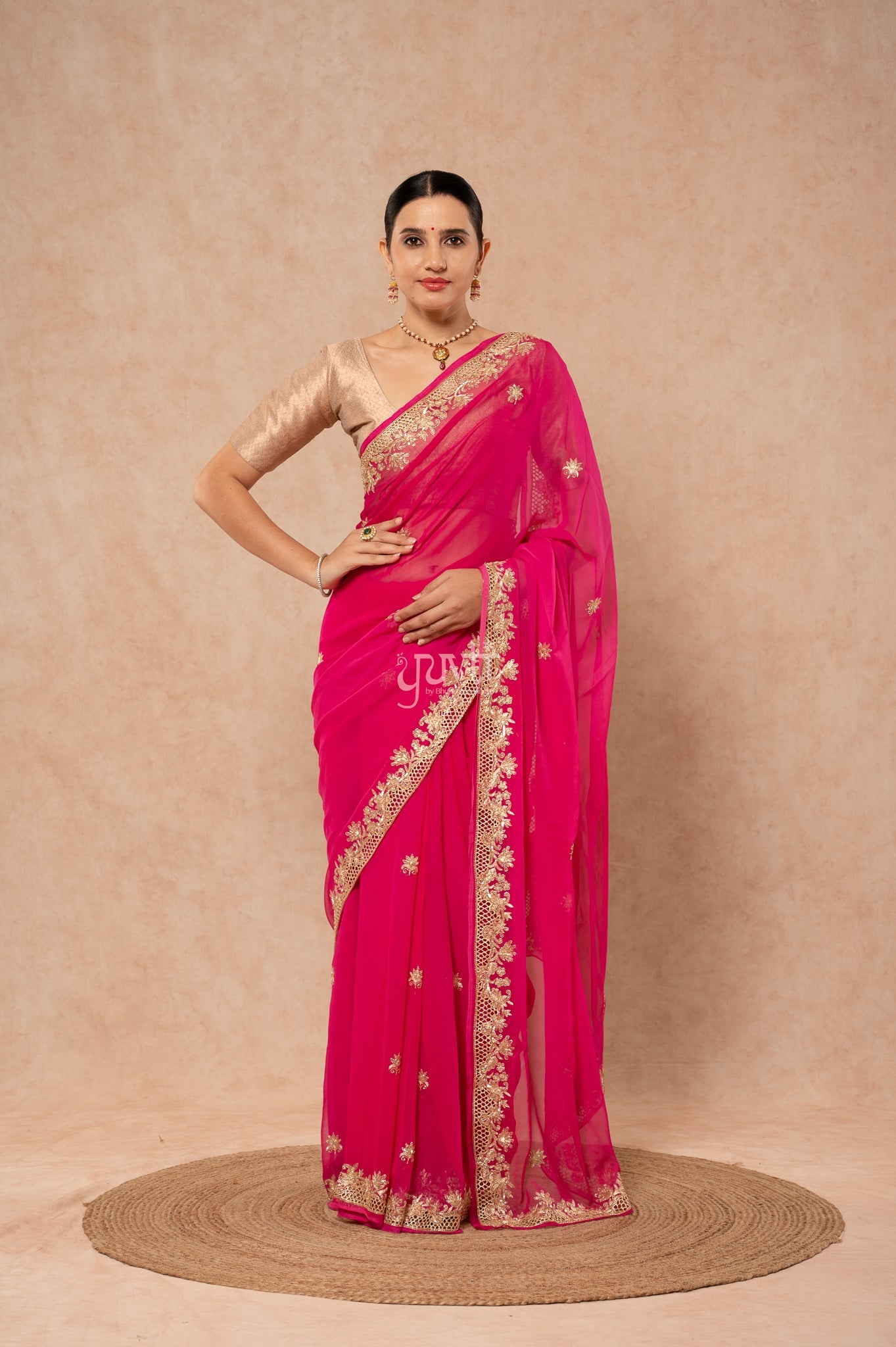 Rani Shaded Viscose Chiffon Aari Sequins Zardozi Cutwork Border Butti Handwork Party Saree with Blouse