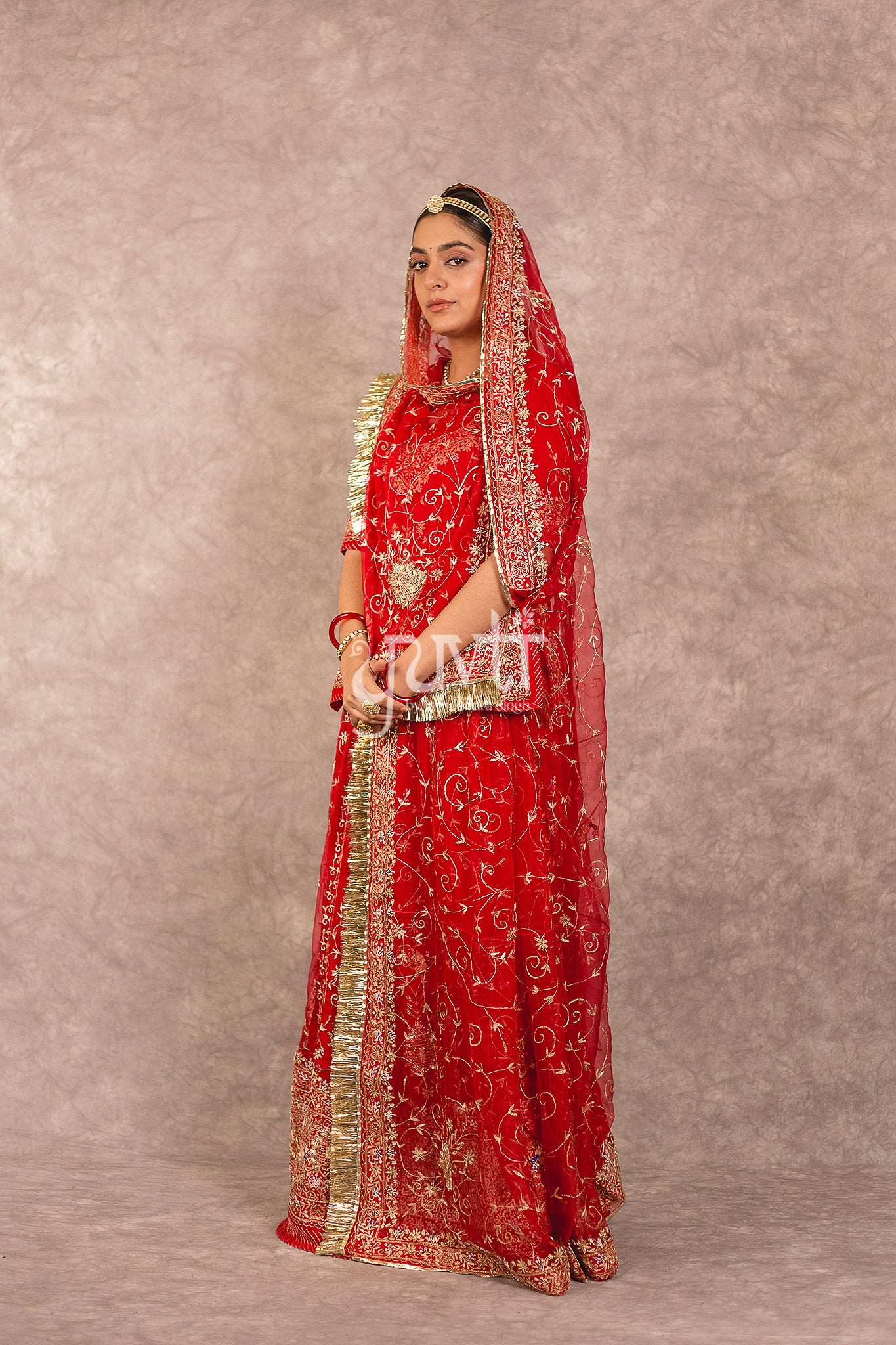 Red Pure Georgette Aari Zardosi Jaal Work Rajputi Poshak
