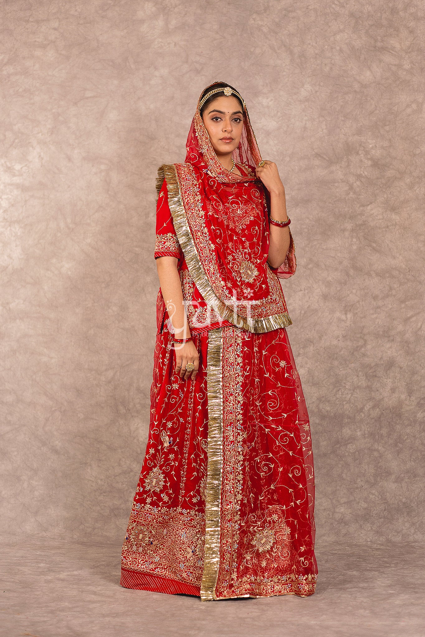 Red Pure Georgette Aari Zardosi Jaal Work Rajputi Poshak