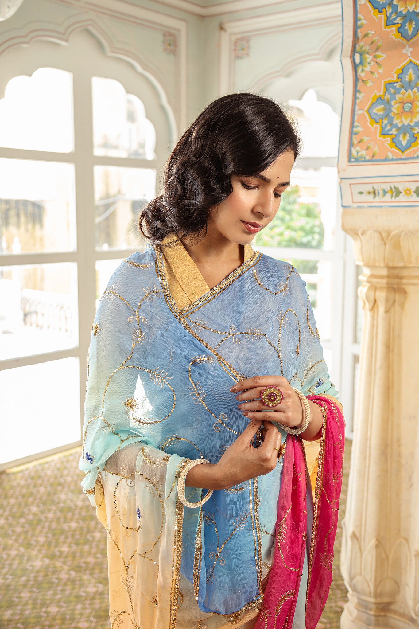 Rani Sky Shaded Pure Chiffon Aari Tari Handwork Saree