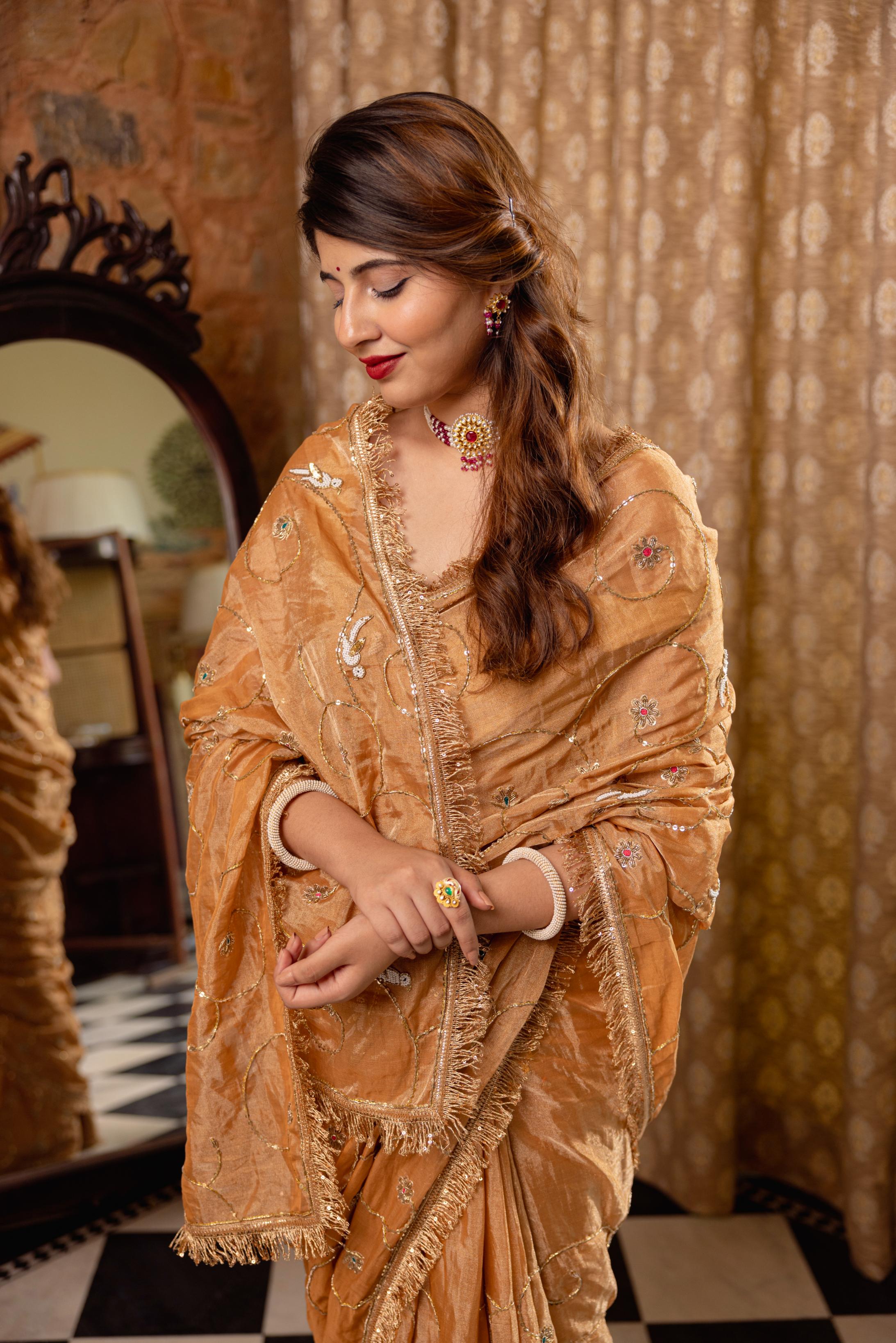 Chikku Pure Tissue Salma Tari Jaal  Handwork   Saree