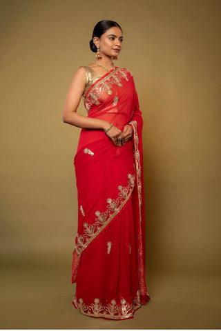 Raas Gottapati Border Saree-105