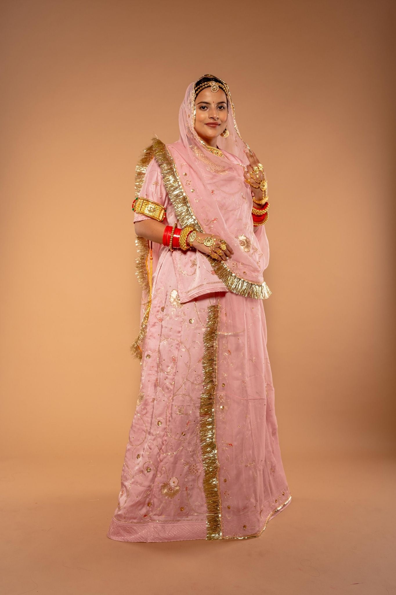 Aari Kardana Pink Rajputi Poshak