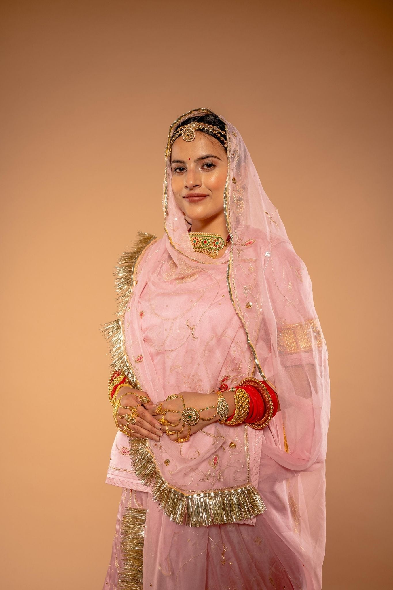 Aari Kardana Pink Rajputi Poshak