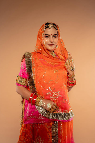 Aari Sequence Rani Orange Shaded Rajputi Poshak