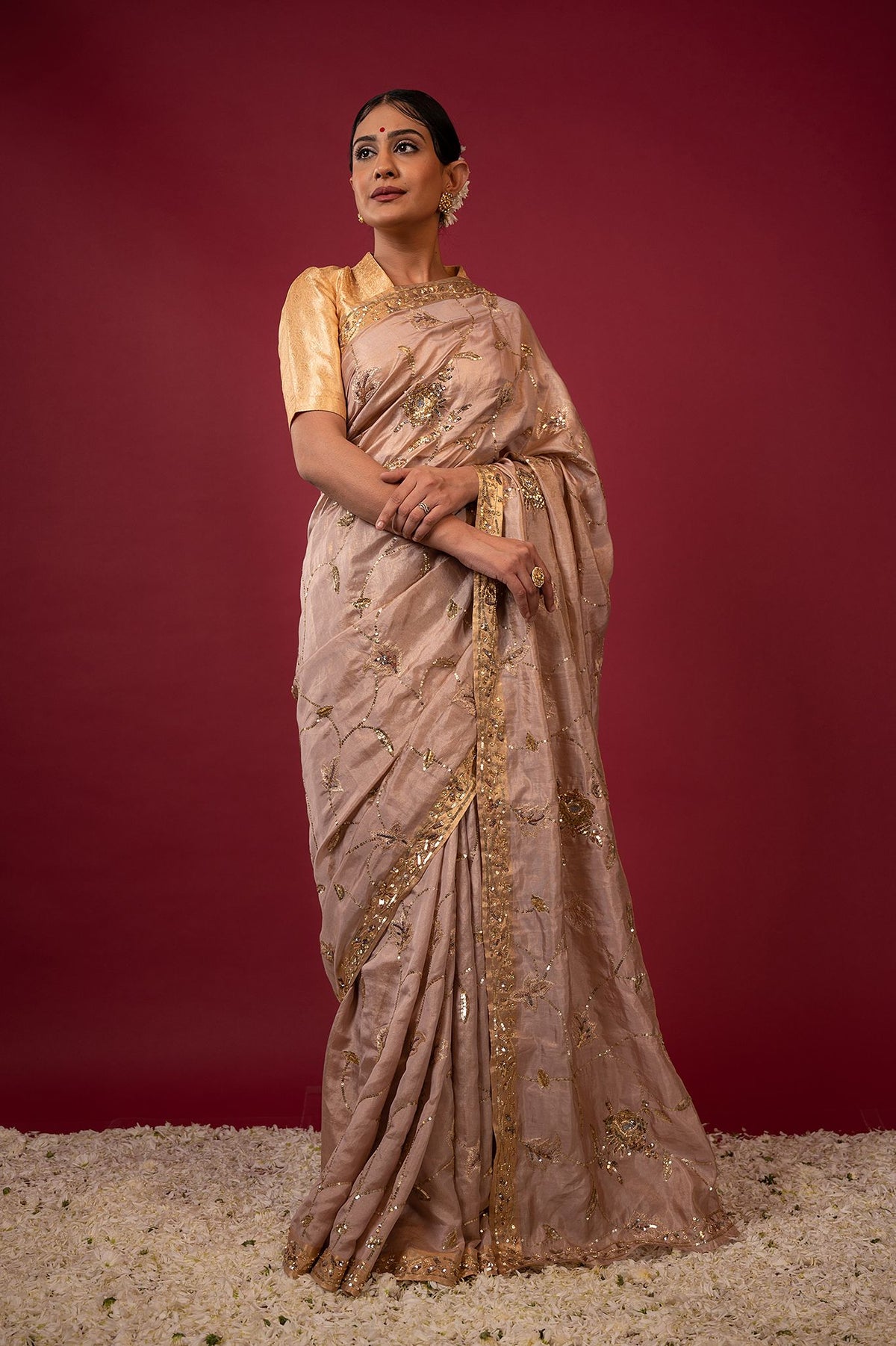 Handloom Tan Tissue Saree