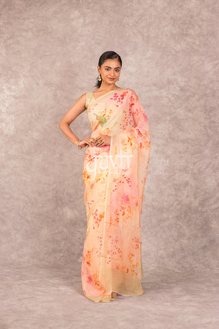 Shaded Printed Chiffon Saree