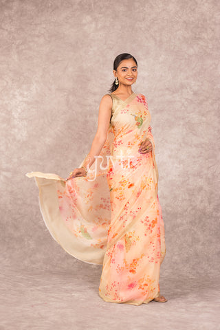 Shaded Printed Chiffon Saree