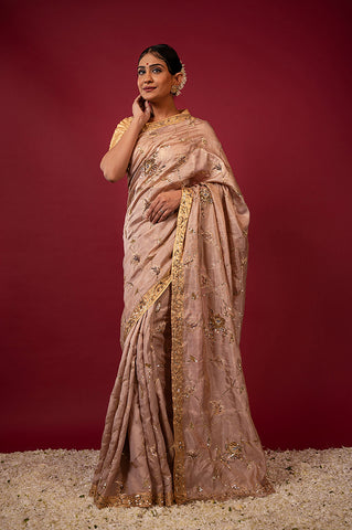 Handloom Tan Tissue Saree