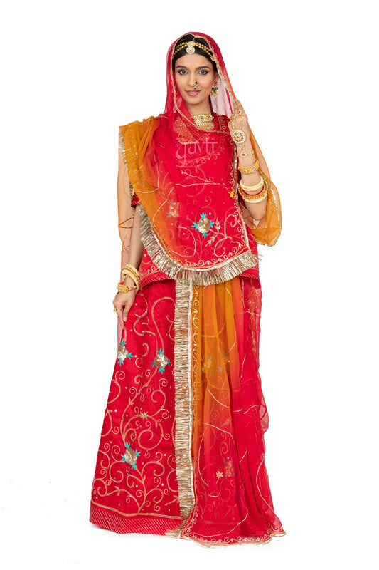 Red Aari Sequins Resham Rajputi Poshak